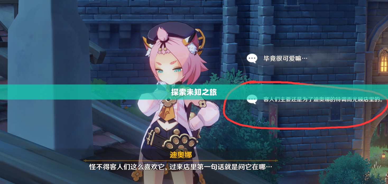 迪奥娜邀约任务，探索未知之旅