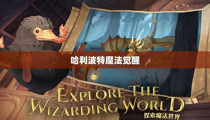 哈利波特魔法觉醒兑换码,神秘世界的秘密钥匙 哈利波特魔法觉醒兑换码,神秘世界的秘密钥匙