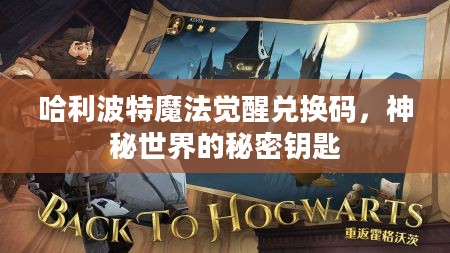 哈利波特魔法觉醒兑换码，神秘世界的秘密钥匙