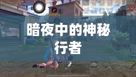 觅血者，暗夜中的神秘行者