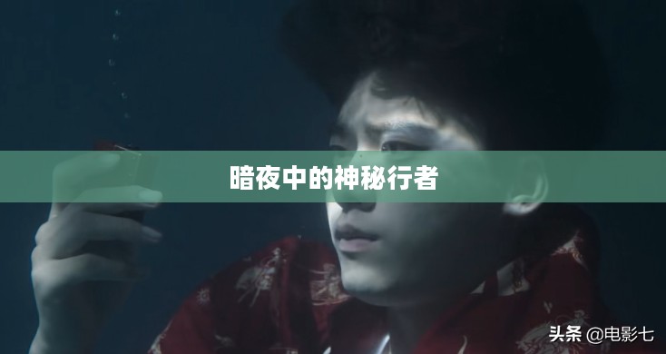 觅血者，暗夜中的神秘行者