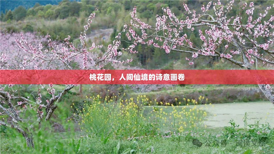 桃花园,人间仙境的诗意画卷 桃花园,人间仙境的诗意画卷
