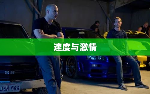 极速赛车群，速度与激情的完美结合