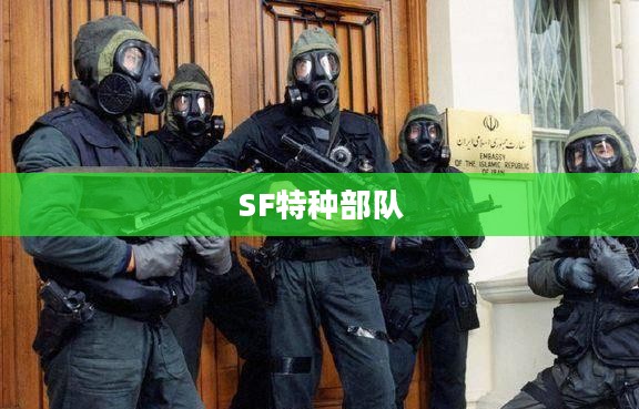 SF特种部队，精英中的精英