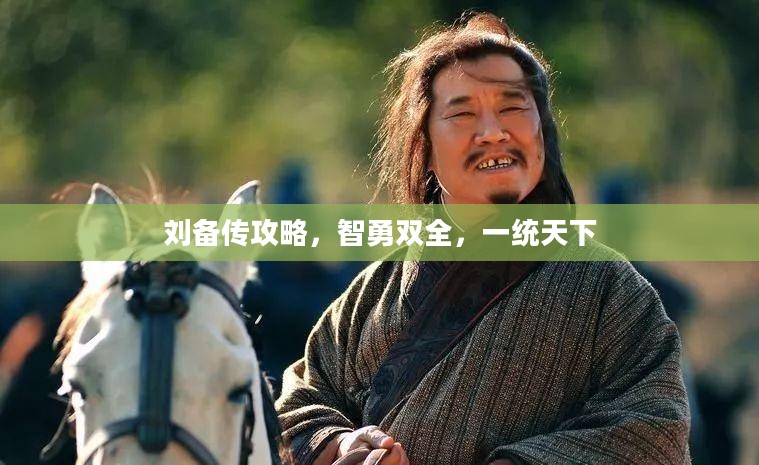 刘备传攻略，智勇双全，一统天下