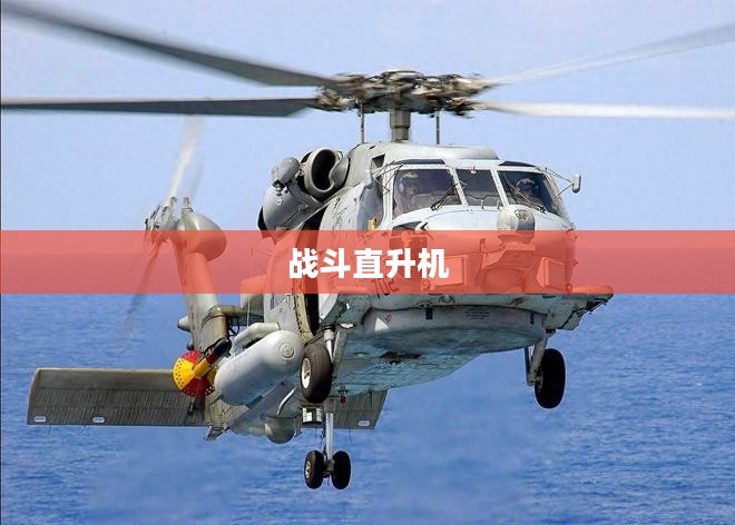 战斗直升机，空中力量的核心支柱