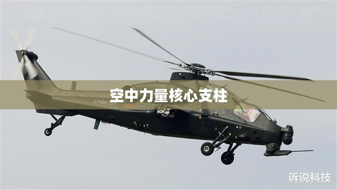 战斗直升机,空中力量的核心支柱 战斗直升机,空中力量的核心支柱