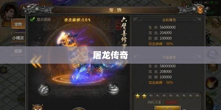 屠龙传奇,勇者的荣耀与荣耀的历程 屠龙传奇,勇者的荣耀与荣耀的历程