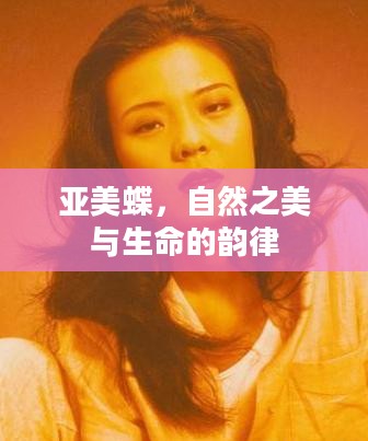 亚美蝶，自然之美与生命的韵律