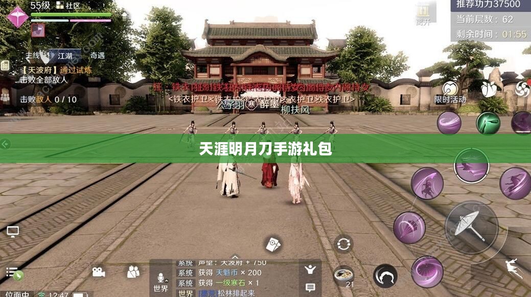 天涯明月刀手游礼包,获取攻略与实用指南 天涯明月刀手游礼包,获取攻略与实用指南