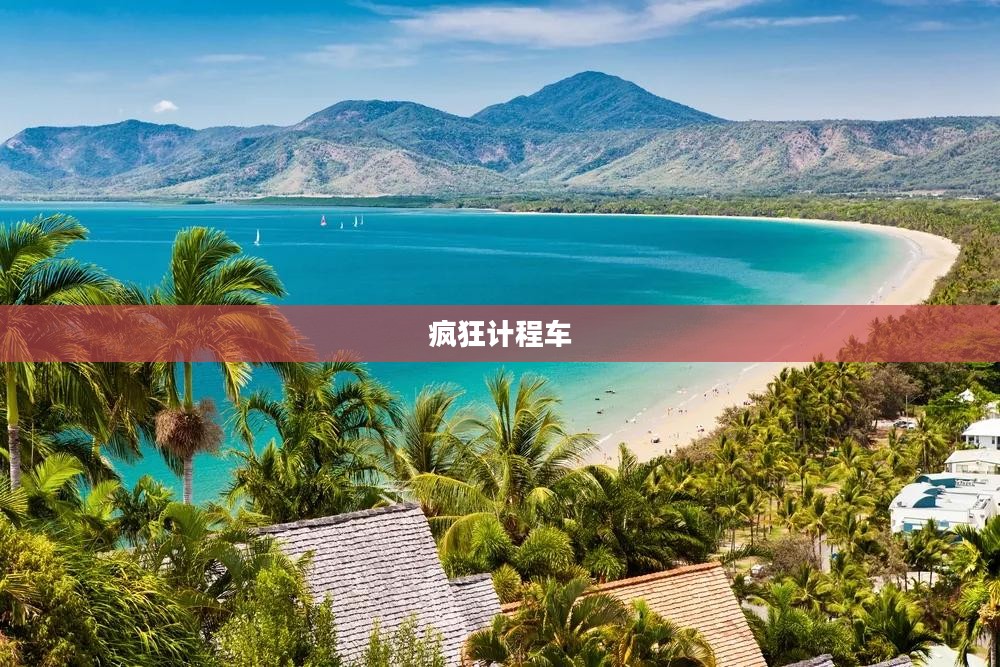 疯狂计程车，城市中的速度与激情