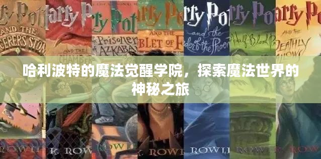 哈利波特的魔法觉醒学院,探索魔法世界的神秘之旅 哈利波特的魔法觉醒学院,探索魔法世界的神秘之旅