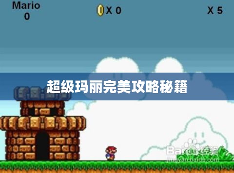 超级玛丽完美攻略秘籍
