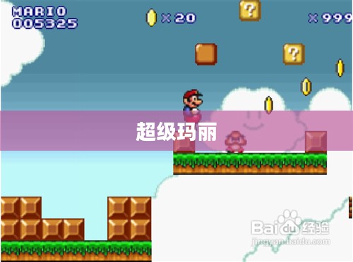 超级玛丽完美攻略秘籍