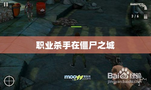 职业杀手在僵尸之城