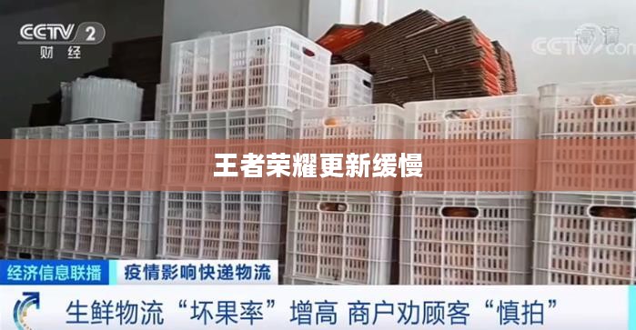 王者荣耀更新缓慢，探究背后的原因与影响