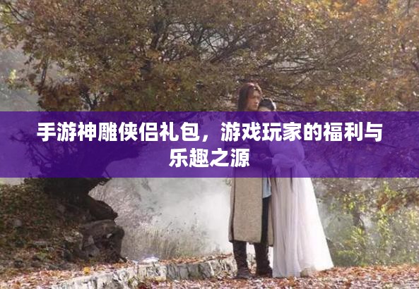手游神雕侠侣礼包，游戏玩家的福利与乐趣之源