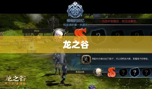 龙之谷，升级之路