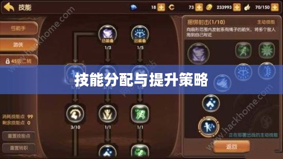 龙之谷刺客加点攻略,技能分配与提升策略 龙之谷刺客加点攻略,技能分配与提升策略