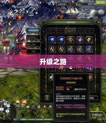 龙之谷,升级之路 龙之谷,升级之路
