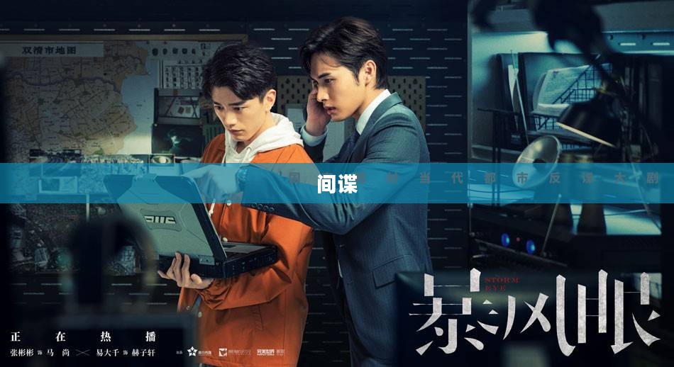 我是间谍，隐秘战线上的守护者