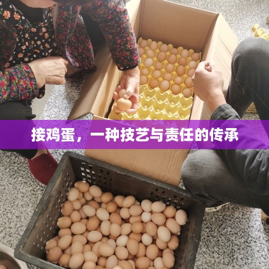 接鸡蛋，一种技艺与责任的传承