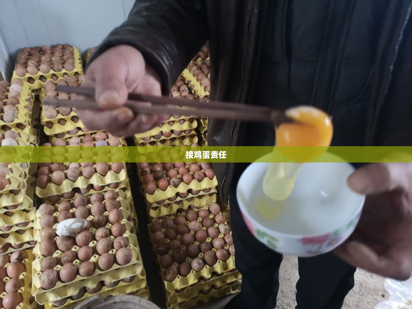 接鸡蛋,一种技艺与责任的传承 接鸡蛋,一种技艺与责任的传承