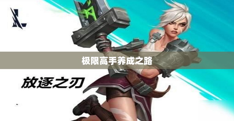 瑞文攻略,极限高手的养成之路 瑞文攻略,极限高手的养成之路