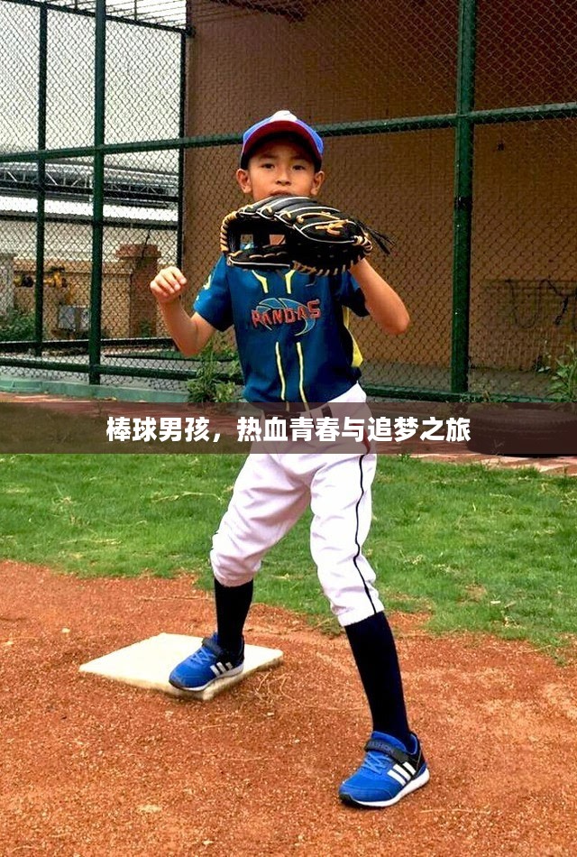 棒球男孩,热血青春与追梦之旅 棒球男孩,热血青春与追梦之旅