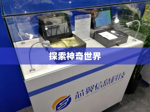 宠物小精灵XY游戏，探索神奇世界的无尽魅力