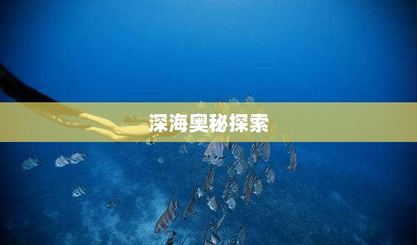 海洋之星3，探索未知的深海奥秘
