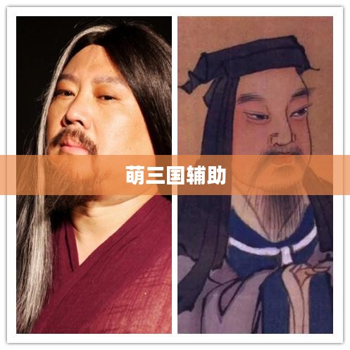 萌三国辅助，游戏策略与体验优化利器