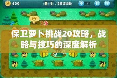 保卫萝卜挑战20攻略，战略与技巧的深度解析