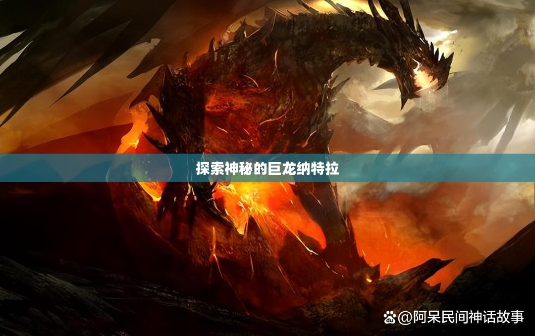 探索神秘的巨龙纳特拉 探索神秘的巨龙纳特拉