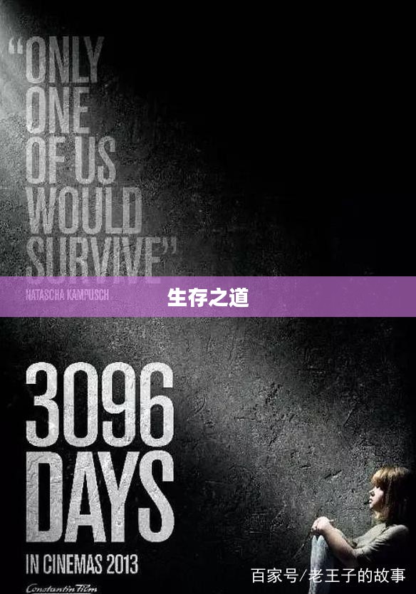 囚禁计划攻略手册，探索未知的生存之道