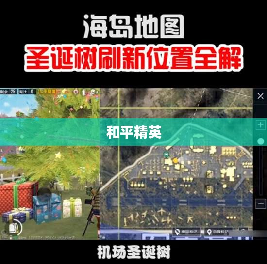 和平精英圣诞树的神秘位置探索
