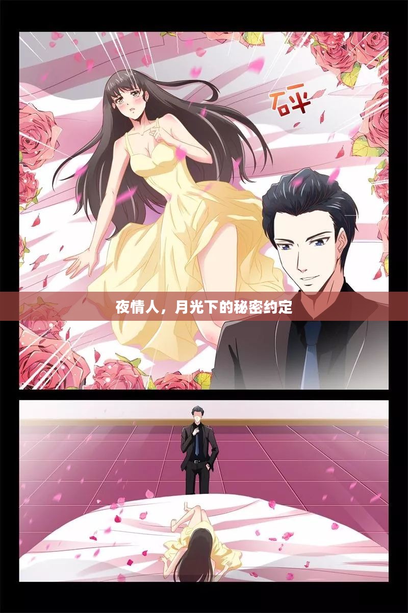 夜情人,月光下的秘密约定 夜情人,月光下的秘密约定