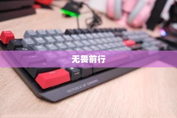 热血游侠，无畏前行，英勇传奇