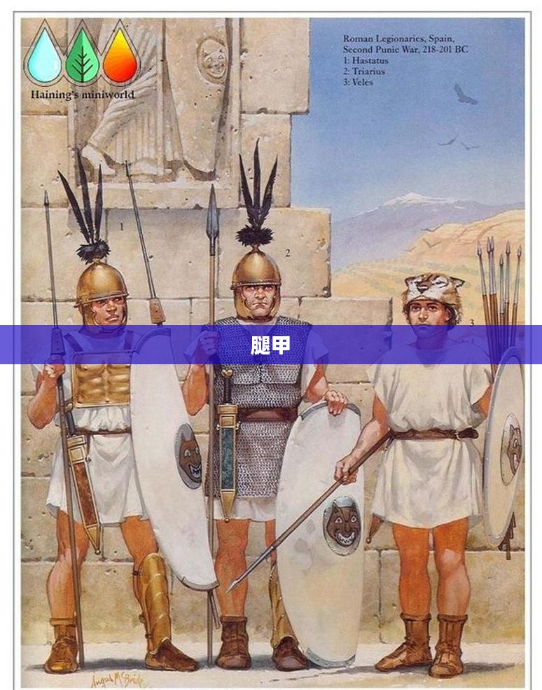 闪耀光芒的腿甲,时尚与功能的完美结合 闪耀光芒的腿甲,时尚与功能的完美结合