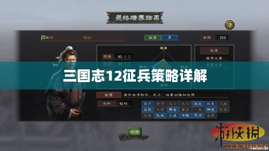 三国志12征兵策略详解