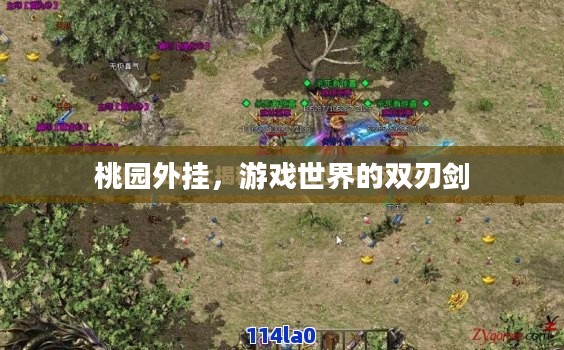 桃园外挂,游戏世界的双刃剑 桃园外挂,游戏世界的双刃剑