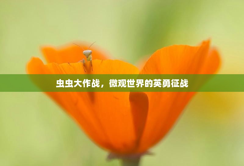 虫虫大作战，微观世界的英勇征战