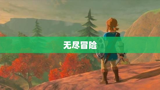 塞尔达,无尽冒险的传奇之旅 塞尔达,无尽冒险的传奇之旅