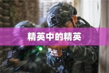 陆军特战队，精英中的精英