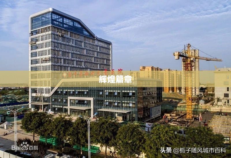 君临天下，权力之巅的辉煌篇章