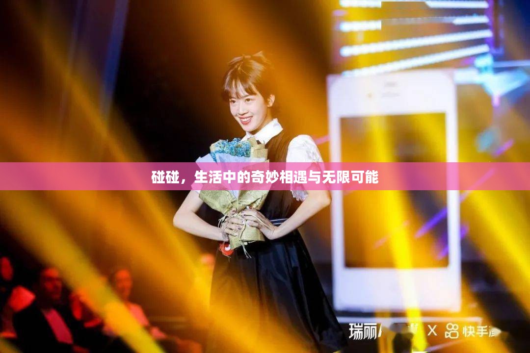 碰碰，生活中的奇妙相遇与无限可能