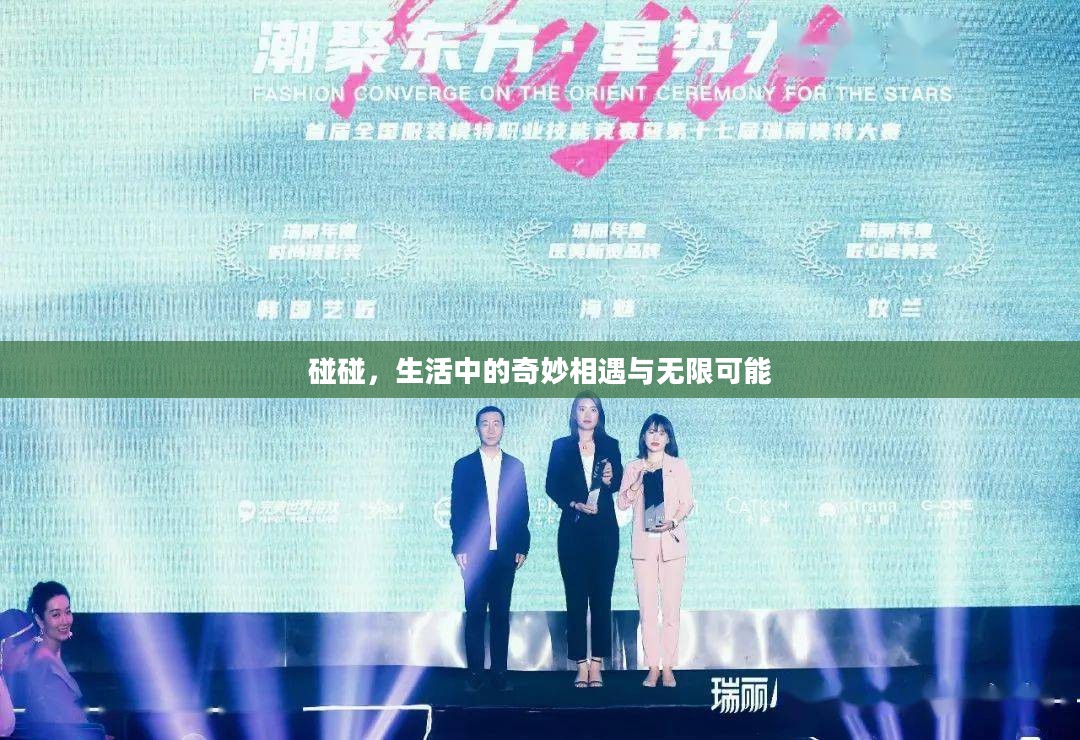 碰碰，生活中的奇妙相遇与无限可能
