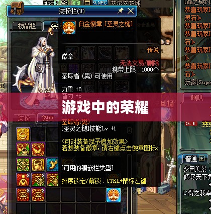 DNF白金徽章，游戏中的荣耀与追求