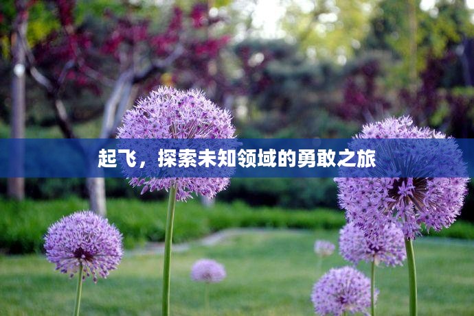 起飞，探索未知领域的勇敢之旅