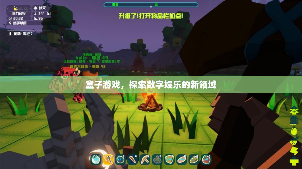 盒子游戏，探索数字娱乐的新领域